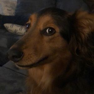 Meet your Posher, April